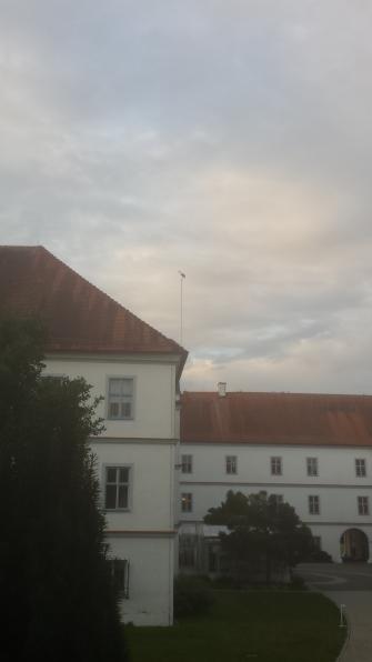 Storch auf dem Fahnenmast